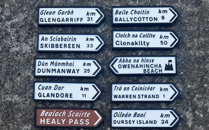 Custom Irish Road Signs | Fridge Magnets | Irish Souvenirs | 3D Printed | West Cork | Ireland